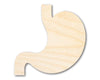 Unfinished Wood Stomach Shape | DIY Craft Cutout | up to 46" DIY