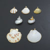 Associated Natural Seashell Pendant charm, Gold Trim Shell pendant charm, Assorted Seashells, Sku#EF823