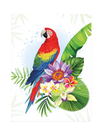 Diamond Art Stretched Canvas Parrot