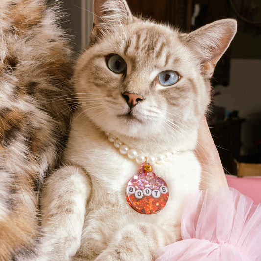 Resin Craft Silicone Tags Mold Pet Collar and Keychain