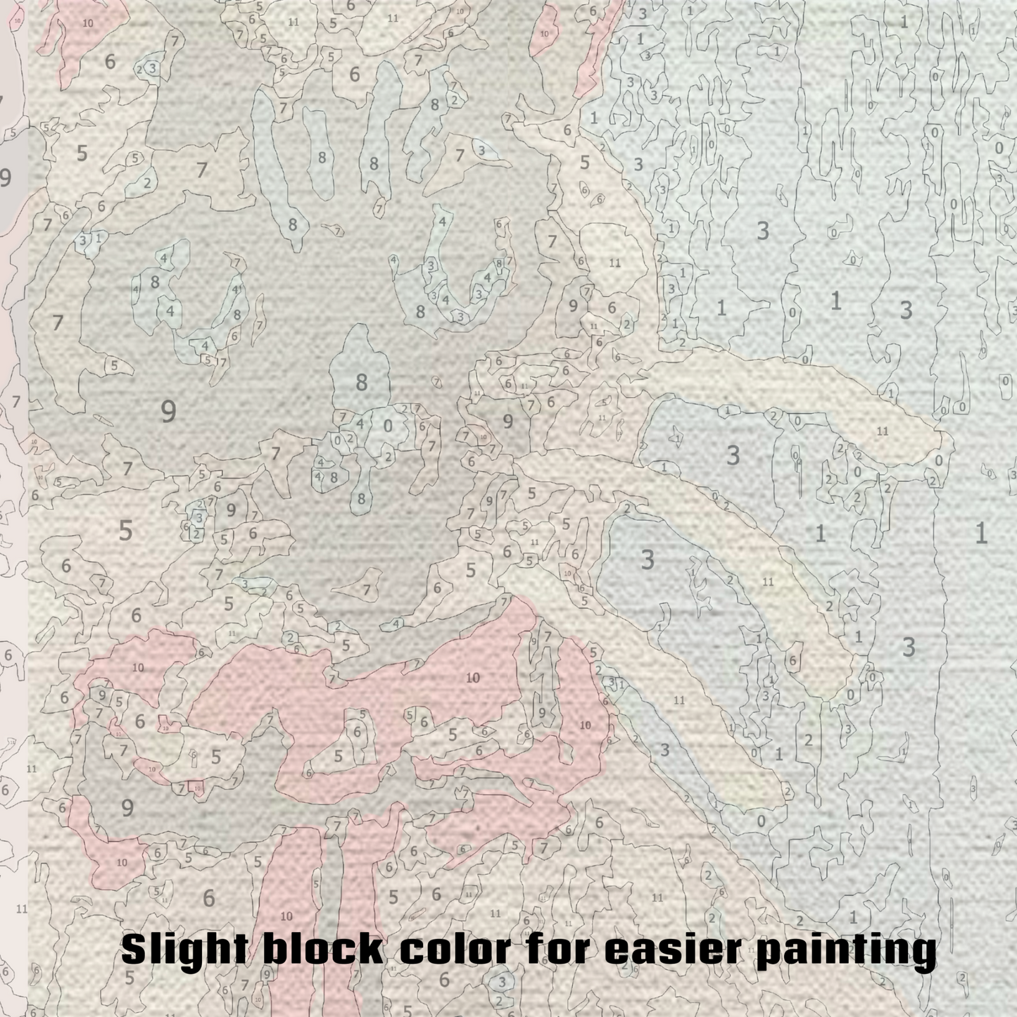 Cat With Bow - Paint by Numbers Kit