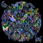 Butterfly Holographic Stickers – 100pcs for Scrapbook & Decor