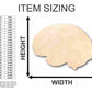 Unfinished Wood Brain Shape - Science - Craft - up to 46" DIY