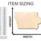 Unfinished Wood Iowa Shape - State - Craft - up to 46" DIY