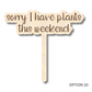 Unfinished Wood Funny Plant Stakes | 24 Options | 5" Tall | 1/8" Wood | Wood Craft Cutout