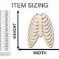 Unfinished Wood Skeleton Rib Cage Shape - Craft - up to 46" DIY