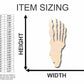 Unfinished Wood Skeleton Foot Shape - Bones - Craft- up to 46" DIY