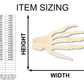 Unfinished Wood Skeleton Hand Shape | Craft Cutout | up to 46" DIY