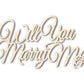 Unfinished Wood Will You Marry Me Sign | DIY Craft Cutout | up to 46" DIY