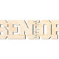 Unfinished Wood 2025 Senior Shape | DIY Craft Cutout | up to 46" DIY