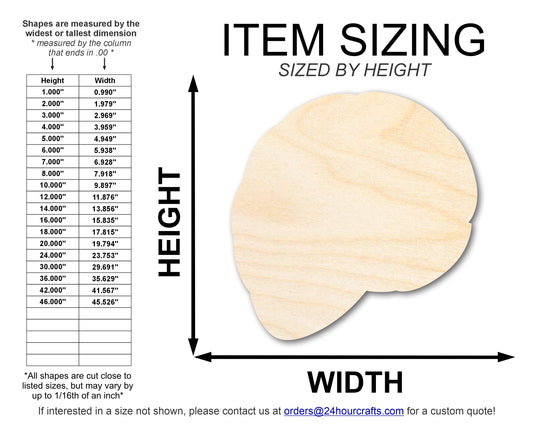 Unfinished Wood Shell Shape | DIY Craft Cutout | up to 46" DIY