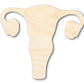 Unfinished Wood Uterus Shape | DIY Craft Cutout | up to 46" DIY