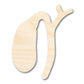 Unfinished Wood Gallbladder Shape | DIY Craft Cutout | up to 46" DIY