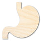 Unfinished Wood Stomach Shape | DIY Craft Cutout | up to 46" DIY