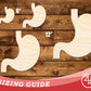 Unfinished Wood Stomach Shape | DIY Craft Cutout | up to 46" DIY