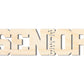Unfinished Wood 2026 Senior Shape | DIY Craft Cutout | up to 46" DIY