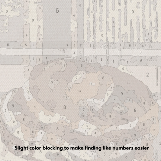 Pancakes - Paint by Numbers Kit