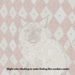 Birman Cat - Paint by Numbers Kit