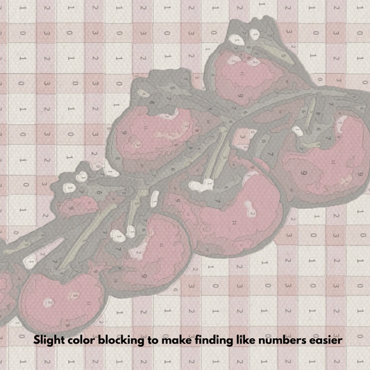 Tomato’s On The Vine - Paint by Numbers Kit