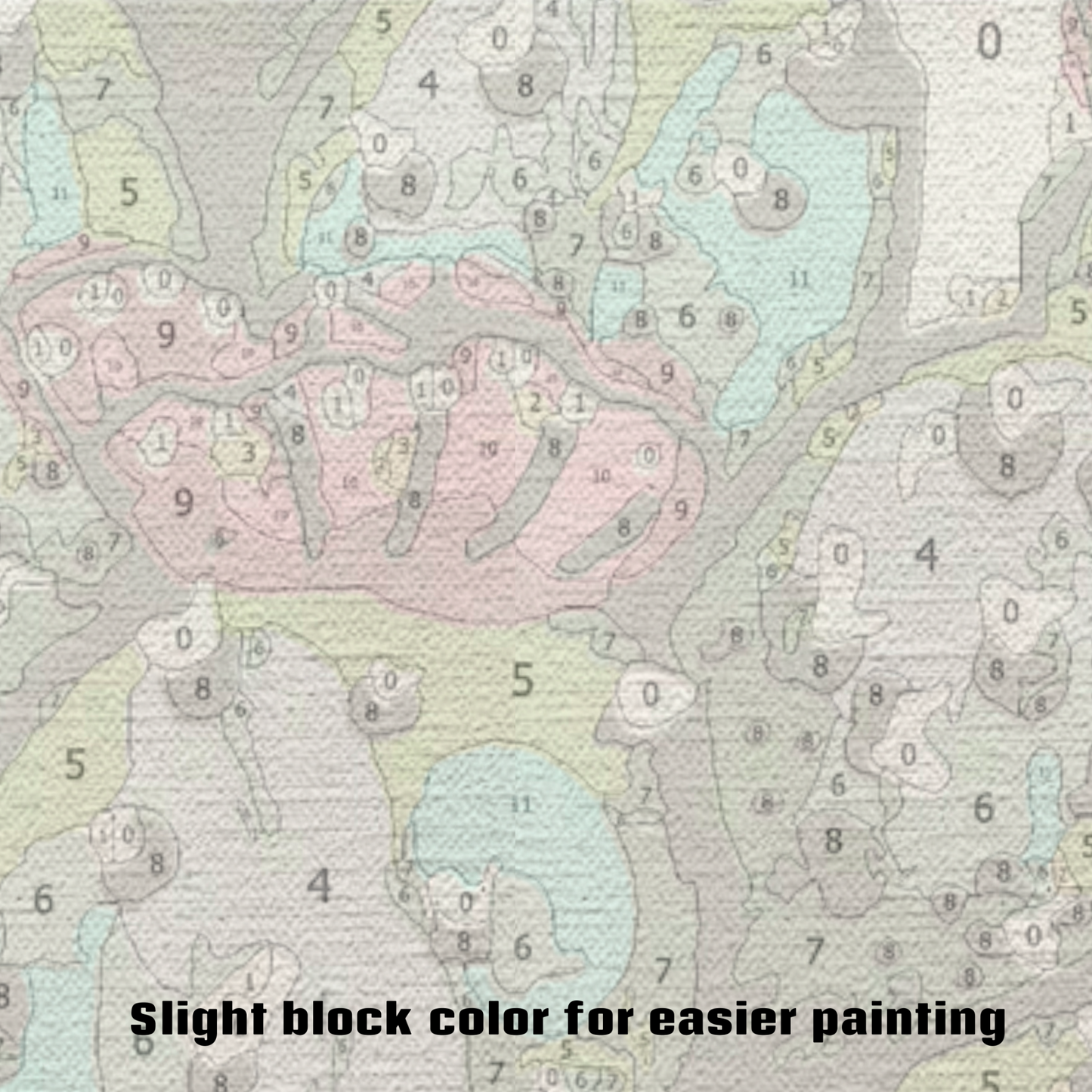 Prickly Pear - Paint by Numbers Kit
