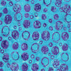 Aqua Bubble Celebration Cotton 44/45 Fabric Per Yard