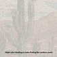 Southwest Paradise - Paint by Numbers Kit