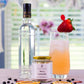 Craft Cocktail Infusion Kit