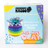 Strawberry Kazoo Air Dry Clay Succulent Craft Kit