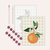 Orange - Paint by Numbers Kit