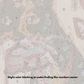 Calico With Bow - Paint by Numbers Kit
