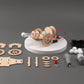 Cannon DIY Kit, Educational STEM Toy