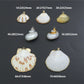 Associated Natural Seashell Pendant charm, Gold Trim Shell pendant charm, Assorted Seashells, Sku#EF823