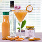 Craft Cocktail Infusion Kit
