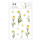 Yoofun Daisy Clover Babysbreath Fern Transparent PET Stickers | Floral Plant Sticker Set for Scrapbooking and DIY Crafts