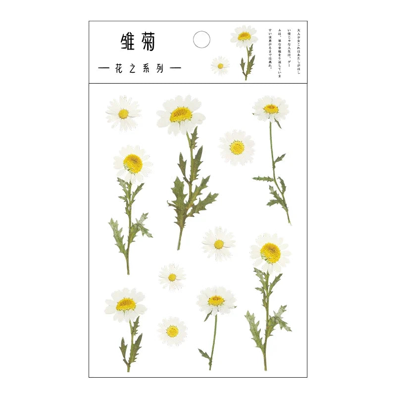 Yoofun Daisy Clover Babysbreath Fern Transparent PET Stickers | Floral Plant Sticker Set for Scrapbooking and DIY Crafts