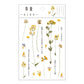 Yoofun Daisy Clover Babysbreath Fern Transparent PET Stickers | Floral Plant Sticker Set for Scrapbooking and DIY Crafts