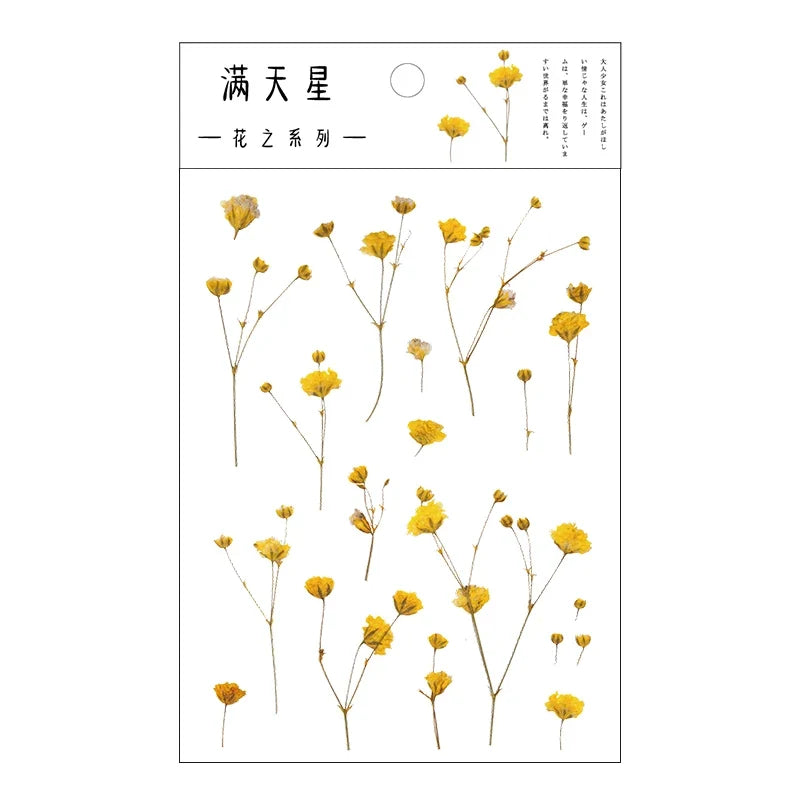 Yoofun Daisy Clover Babysbreath Fern Transparent PET Stickers | Floral Plant Sticker Set for Scrapbooking and DIY Crafts