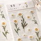 Yoofun Daisy Clover Babysbreath Fern Transparent PET Stickers | Floral Plant Sticker Set for Scrapbooking and DIY Crafts