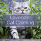 Cat Calming - Candle-Making Kit + Jar