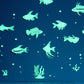 Tropical Fish