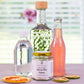 Craft Cocktail Infusion Kit