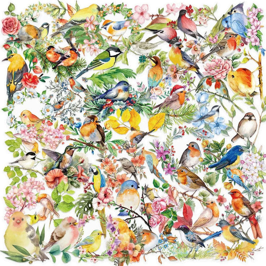 Transparent Watercolor Bird Sticker Pack | 50PCS Waterproof PET Stickers for DIY Decor
