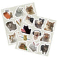 56pcs Kawaii Cat Meme Sticker Collection | UV-Coated Waterproof Decals for Journaling & Device