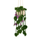 Crochet Hanging Plant Kit – DIY Hand-Knitting with Tools & Yarn