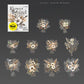 20 PET Flower Stickers for Scrapbooking | Transparent Adhesive Decorative Set