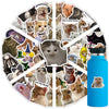 56pcs Kawaii Cat Meme Sticker Collection | UV-Coated Waterproof Decals for Journaling & Device