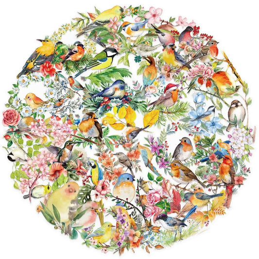 Transparent Watercolor Bird Sticker Pack | 50PCS Waterproof PET Stickers for DIY Decor