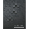 Isometric Graph Paper Notebook: 3D Graph Paper 1/4 Inch Equilateral Triangle Engineer Notebook Drafting Paper Isometric pad - Paperback