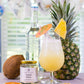 Craft Cocktail Infusion Kit