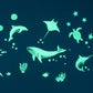 Sea Animal